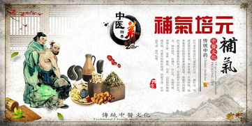 中醫(yī)四季養(yǎng)生藥膳理療進(jìn)補(bǔ)文化展板設(shè)計(jì)